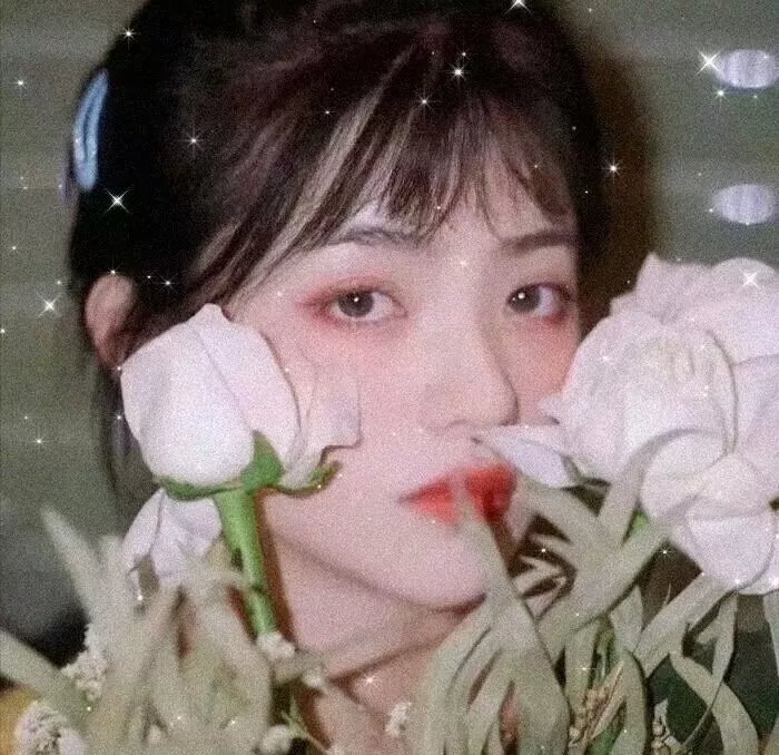 阳光女子合唱团详情