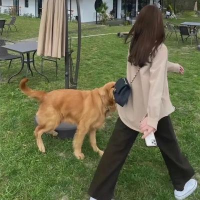 艾米·汉莫